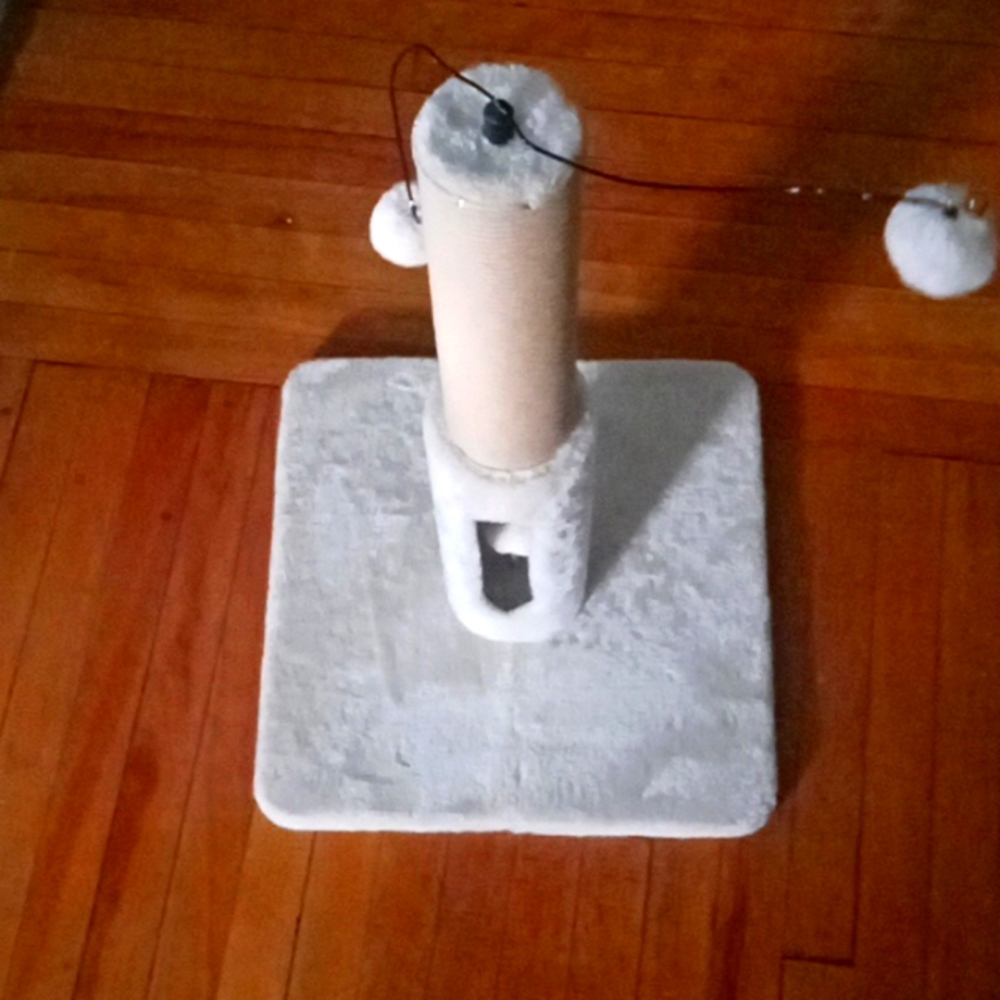 Cat toy